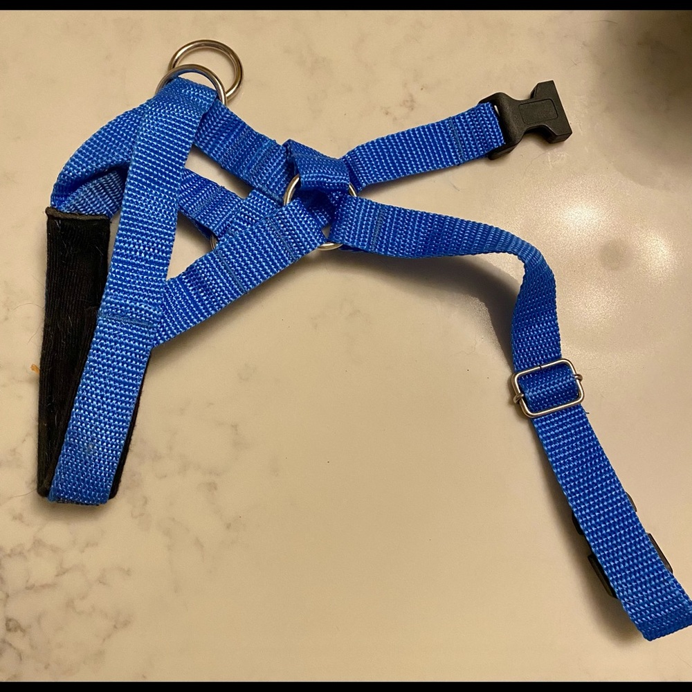 Padded dog head halter/gentle lead